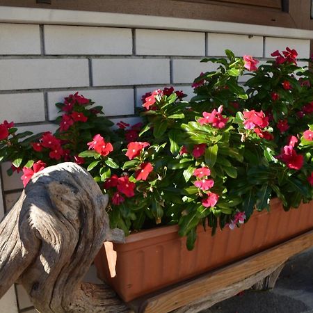 Apartma Zala Most na Soči Dış mekan fotoğraf