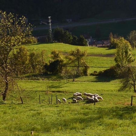 Apartma Zala Most na Soči Dış mekan fotoğraf