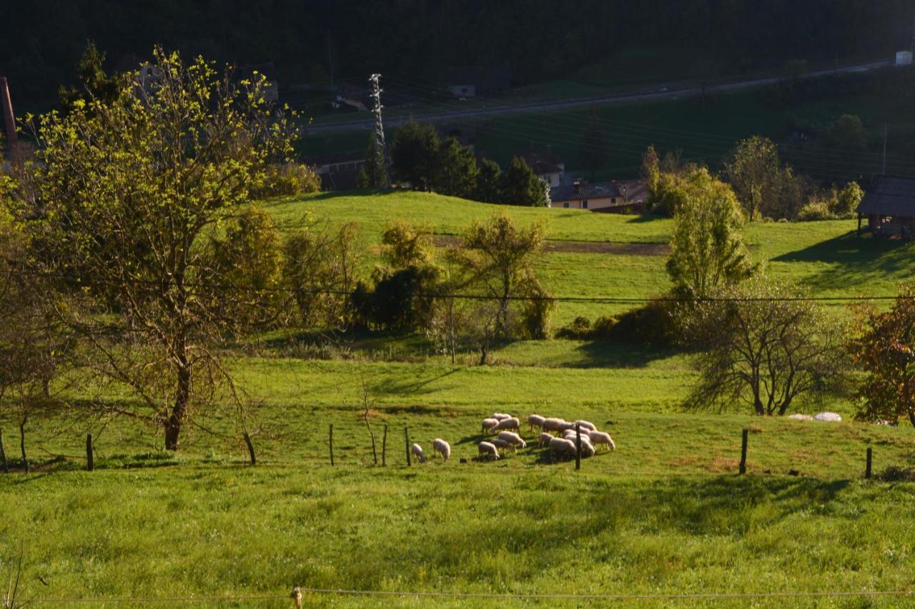Apartma Zala Most na Soči Dış mekan fotoğraf