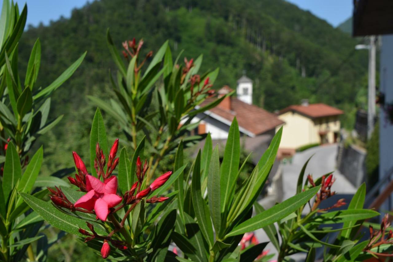 Apartma Zala Most na Soči Dış mekan fotoğraf