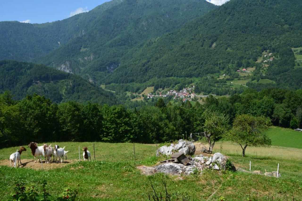 Apartma Zala Most na Soči Dış mekan fotoğraf